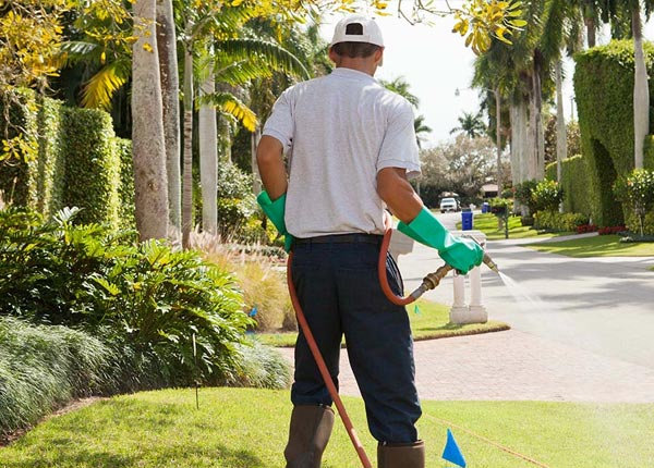 About Olla LA Pest Control